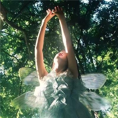 记录的地平线第一季